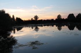IMG_0974.JPG