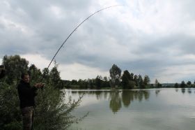 IMG_8785.JPG